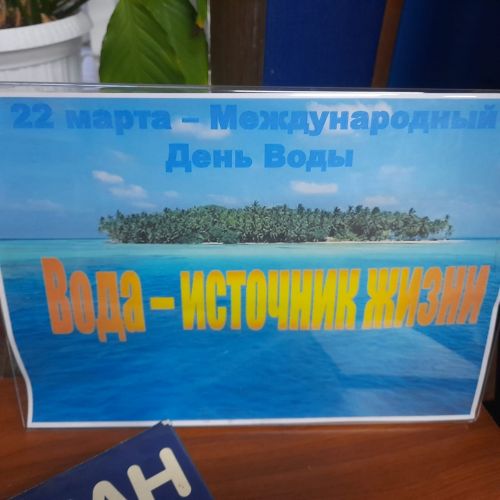 В центральной библиотеке Лаишева организована викторина «Экологический вернисаж»