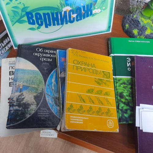 В центральной библиотеке Лаишева организована викторина «Экологический вернисаж»