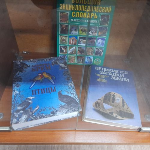 В центральной библиотеке Лаишева организована викторина «Экологический вернисаж»