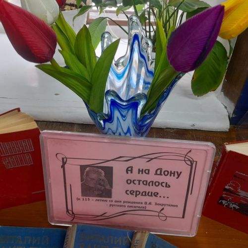 В Лаишевской библиотеке оформлена книжная выставка «А на Дону осталось сердце…»
