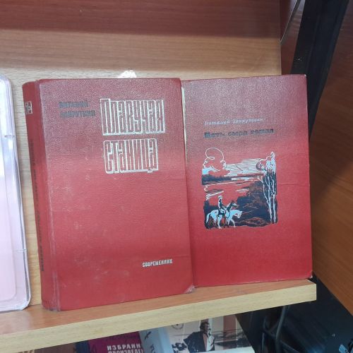 В Лаишевской библиотеке оформлена книжная выставка «А на Дону осталось сердце…»