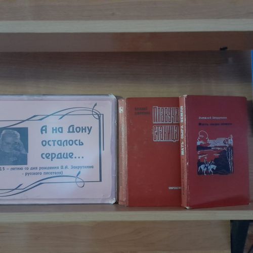 В Лаишевской библиотеке оформлена книжная выставка «А на Дону осталось сердце…»