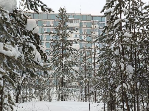 Городской парк, тишина, снег