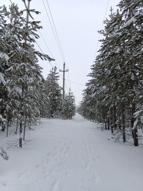 Городской парк, тишина, снег