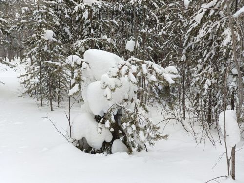 Городской парк, тишина, снег