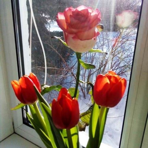 С наступающим днем 8 Марта поздравляет наша читательница