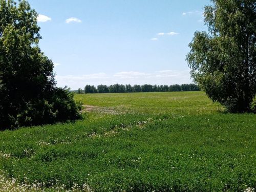 В Лаишевском районе потеплеет до ..+19˚