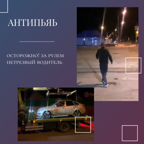 Неадекватного водителя остановили сотрудники ОГИБДД Лаишевского ОВД