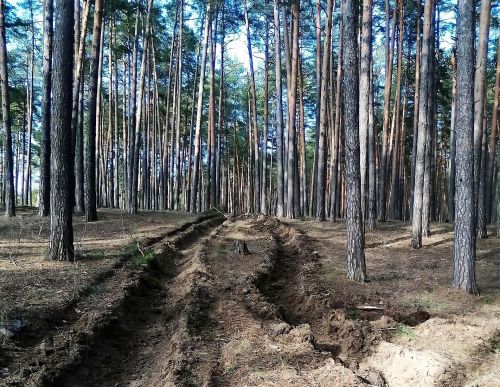 В Лаишевском лесничестве напомнили о соблюдении правил пожарной безопасности