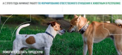 До 31 мая жители Лаишевского района могут участвовать в онлайн-голосовании за объекты благоустройства