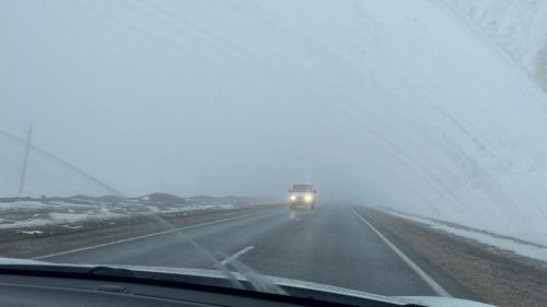За 2023 год в ДТП погибли три человека из-за непристегнутого ремня безопасности