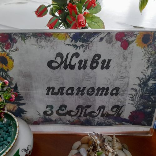В Лаишевской библиотеке организовано мероприятие к Международному дню Земли