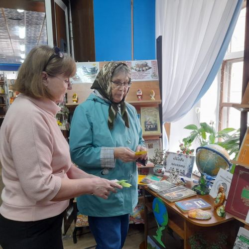 В Лаишевской библиотеке организовано мероприятие к Международному дню Земли