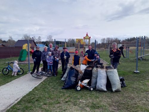 Лаишевский район участвует во Всероссийском экологическом субботнике