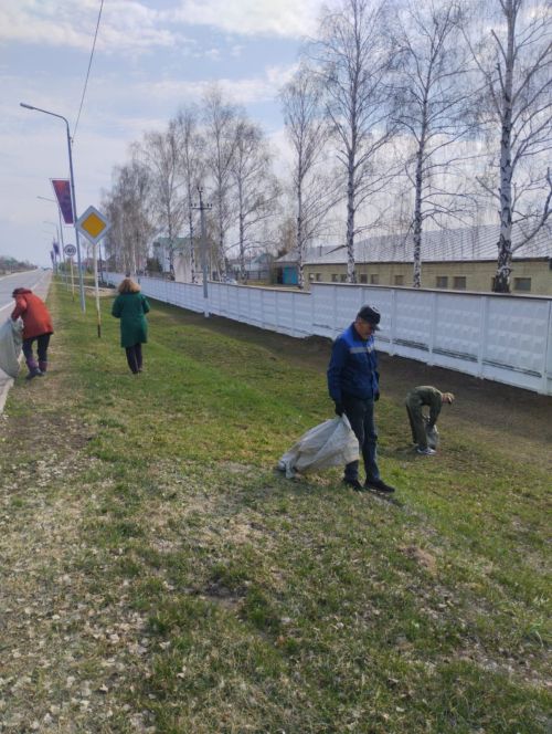 Лаишевский район участвует во Всероссийском экологическом субботнике