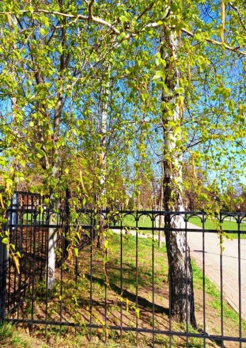 Фото читателей. В Лаишеве весна