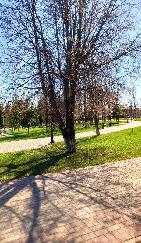 Фото читателей. В Лаишеве весна