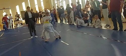 Шесть лаишевских дзюдоистов завоевали шесть медалей на турнире в Казани