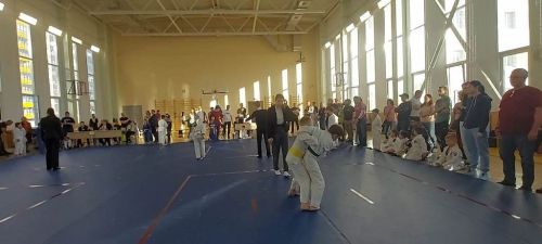 Шесть лаишевских дзюдоистов завоевали шесть медалей на турнире в Казани