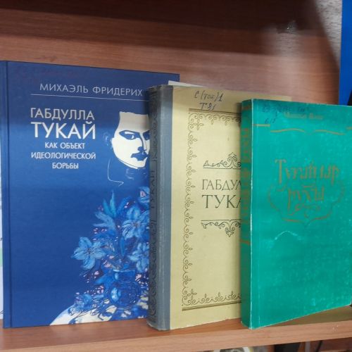 Акция «Родной язык - святой язык, отца и матери язык…» организована в Лаишевской библиотеке