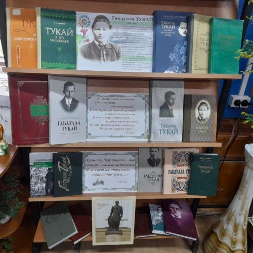 Акция «Родной язык - святой язык, отца и матери язык…» организована в Лаишевской библиотеке