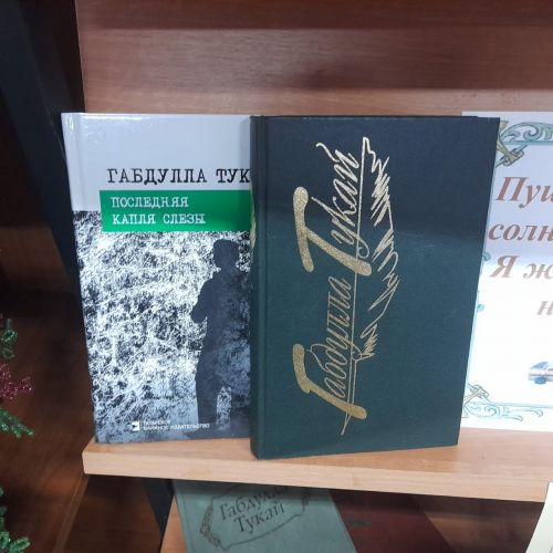 Акция «Родной язык - святой язык, отца и матери язык…» организована в Лаишевской библиотеке