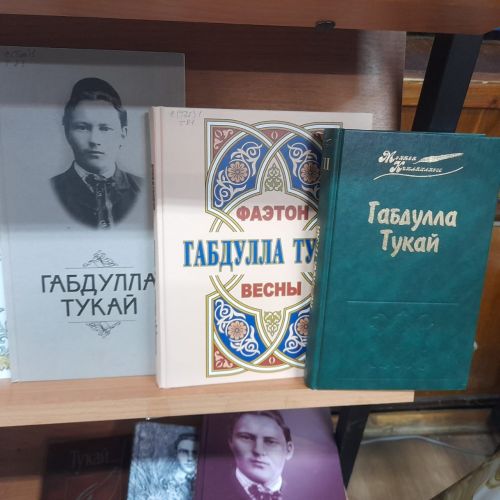 Акция «Родной язык - святой язык, отца и матери язык…» организована в Лаишевской библиотеке
