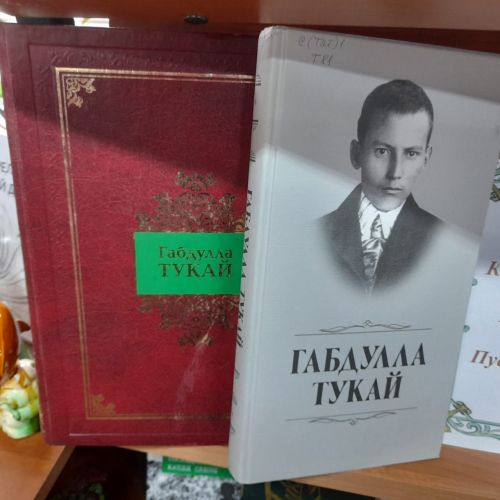 Акция «Родной язык - святой язык, отца и матери язык…» организована в Лаишевской библиотеке