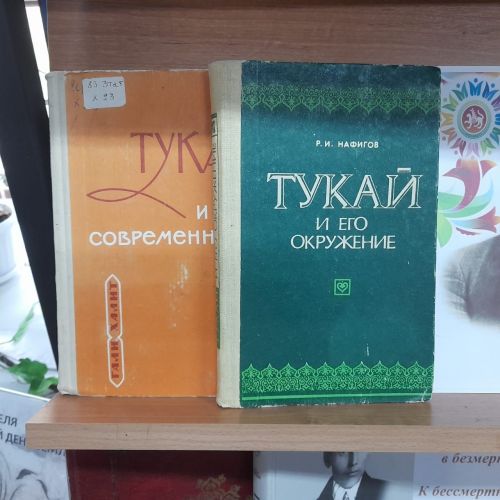 Акция «Родной язык - святой язык, отца и матери язык…» организована в Лаишевской библиотеке