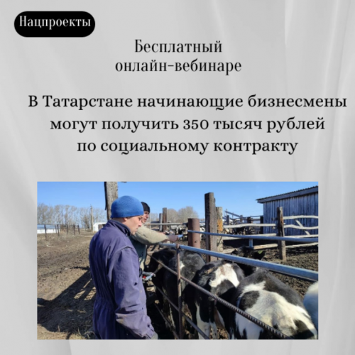 До 350 тысяч рублей может выделить государство на открытие своего бизнеса