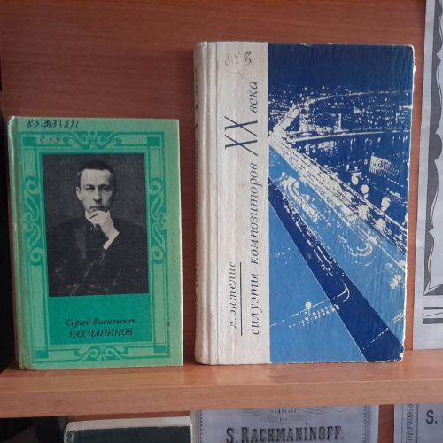 В Лаишевской библиотеке оформлена новая книжная выставка «Божьей милостью музыкант»