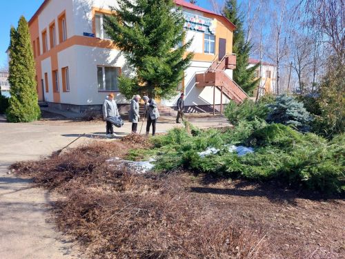 Участники субботника в Лаишеве делятся снимками с Камской новью