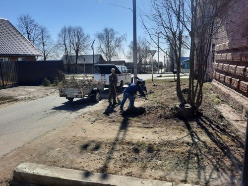 Продолжают поступать снимки с субботника в Лаишеве