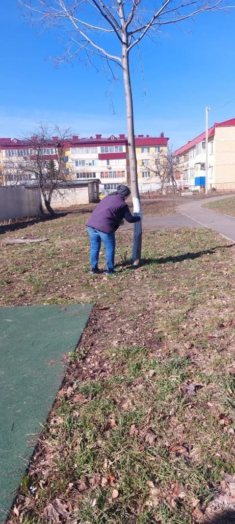 Продолжают поступать снимки с субботника в Лаишеве