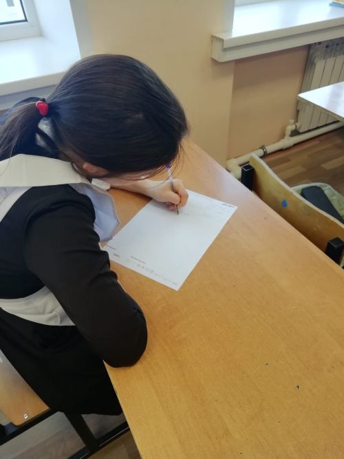 Лаишевские школьники писали Тотальный диктант