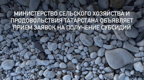 Министерство сельского хозяйства и продовольствия Татарстана объявляет прием заявок на получение субсидий садоводческим и огородническим некоммерческим товариществам