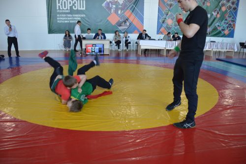 Фоторепортаж: как в Усадах боролись за кубок главы Лаишевского района