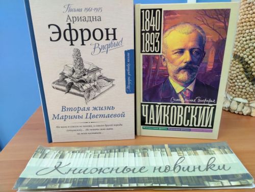 В Лаишевской библиотеке поступление новых книг