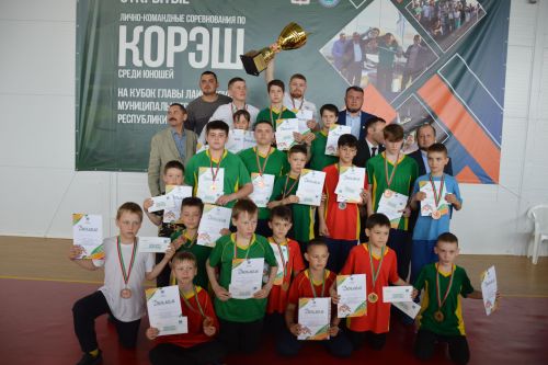 Фоторепортаж: как в Усадах боролись за кубок главы Лаишевского района