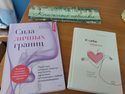 В Лаишевской библиотеке поступление новых книг