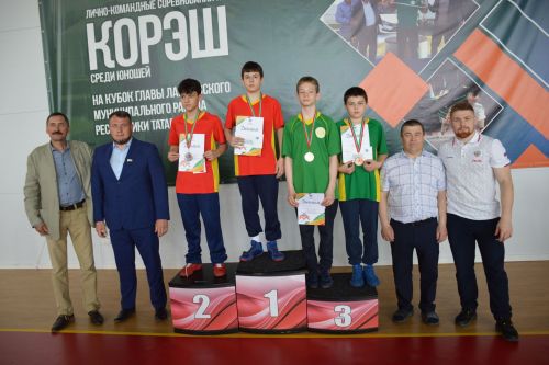 Фоторепортаж: как в Усадах боролись за кубок главы Лаишевского района