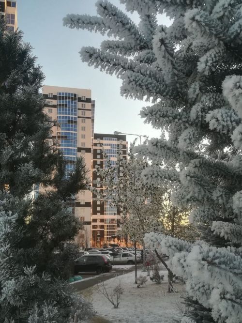 По инициативе читателей открывается фотогалерея «Яркий  мир»