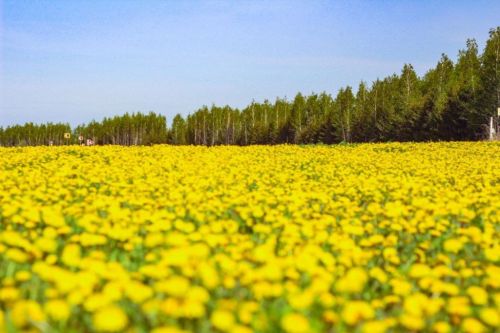 Творчество читателей. Камское море, прибрежный прибой