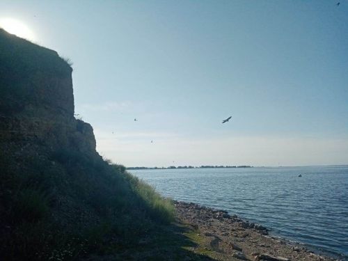 Утро — самое подходящее время помечтать