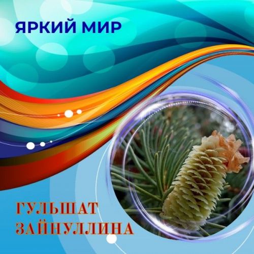 Онлайн-фотогалерея «Яркий мир». Работы Гульшат Зайнуллиной, Лаишево