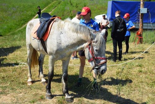 Яркие моменты Сабантуя в Габишево