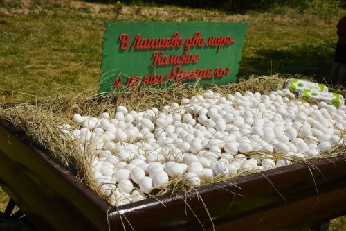 Яркие моменты Сабантуя в Габишево