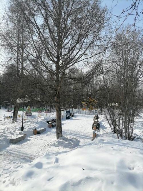 Фото читателя. Работы Галины Петровой