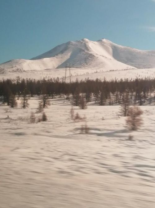 Фото читателя. Работы Галины Петровой