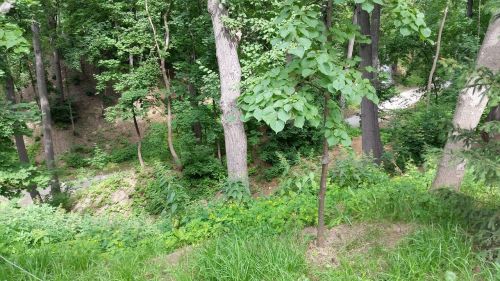 В воскресенье жителей Лаишевского района ждет приятная, но не жаркая погода